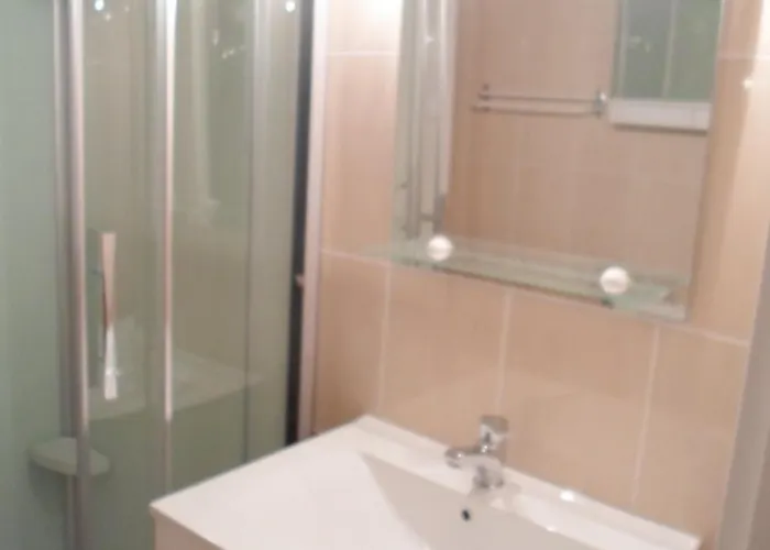 Appartement Cosy Proche Des Thermes, Animaux Admis - Fr-1-503-61 *
